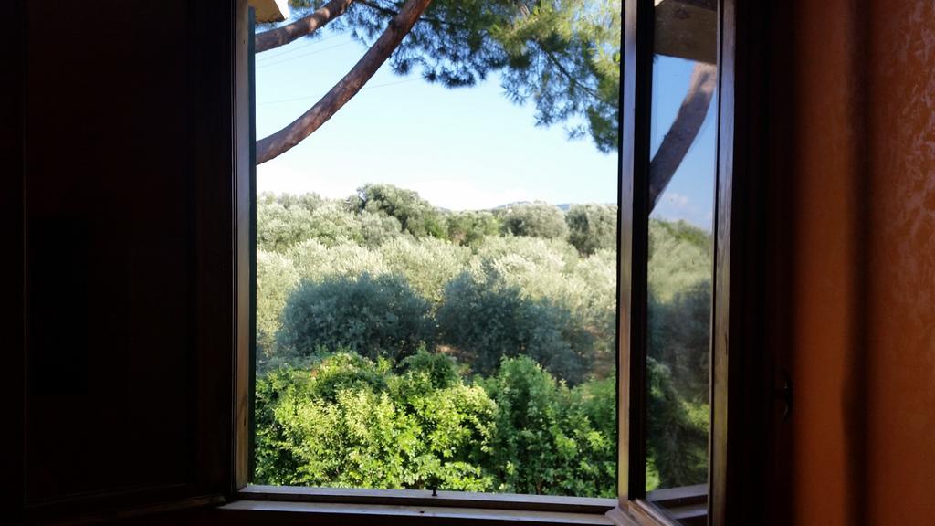 Hotel Villa Maria Luigia Frascati Cameră foto