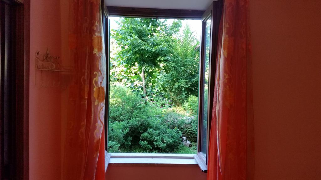 Hotel Villa Maria Luigia Frascati Cameră foto